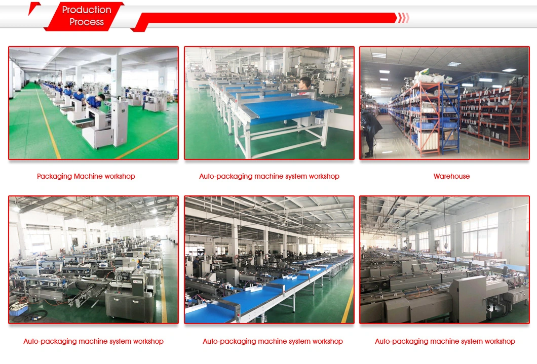 Biscuits Cookies Ice Pops Snow Cake Chocolate Candy Medicine Daily Items Hardware Full Automatic Servo Flow Packaging Packing Machine